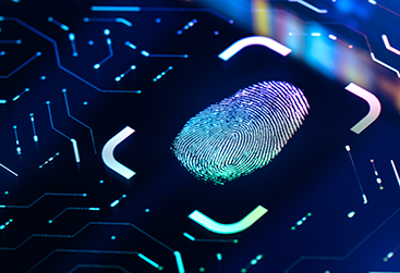 Fingerprint capture on a screen.